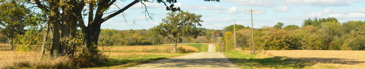 Taking the Back Road